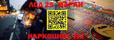 spice Тара