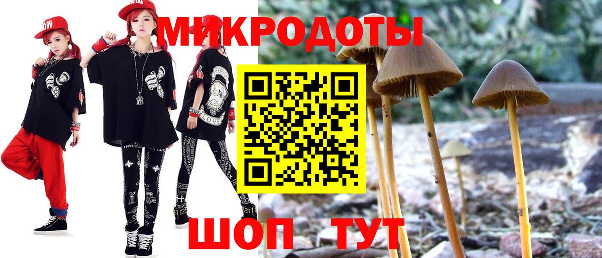 Галлюциногенные грибы MAGIC MUSHROOMS  Вход с VPN  Ноябрьск  Галлюциногенные грибы ЛСД 