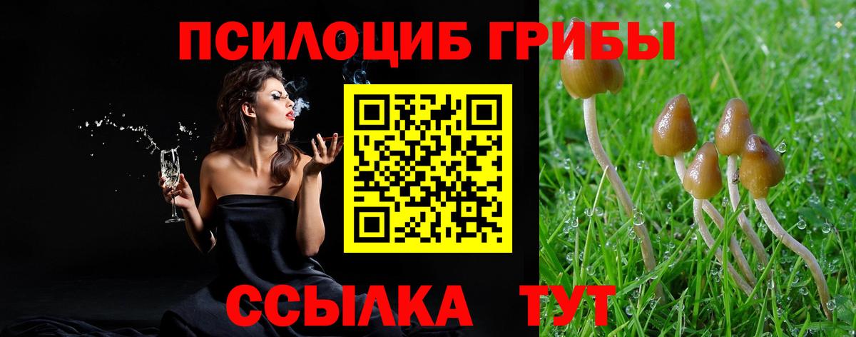 Галлюциногенные грибы ЛСД Ноябрьск