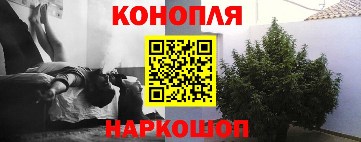 Шишки марихуана OG Kush  Канабис индика  Вход с VPN  Ноябрьск  Канабис SATIVA & INDICA 